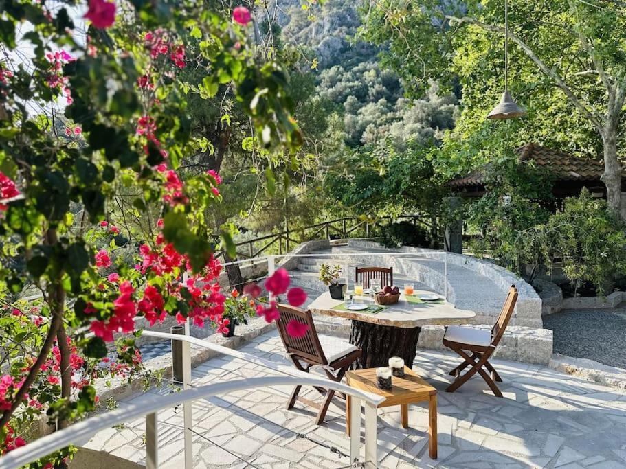 Elia Junior Suite In Epidavros With Shared Pool Nea Epidavros Dış mekan fotoğraf